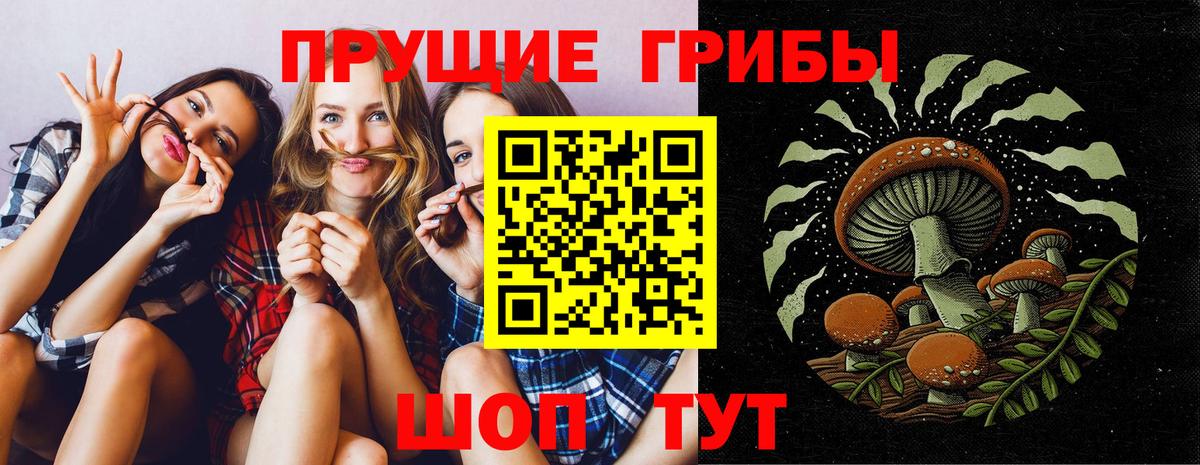 Галлюциногенные грибы Psilocybine cubensis  Вход с VPN  Канаш  Псилоцибиновые грибы Magic Shrooms 
