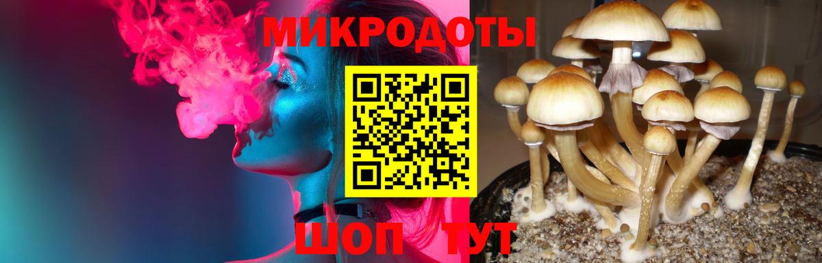 Псилоцибиновые грибы Magic Shrooms Канаш